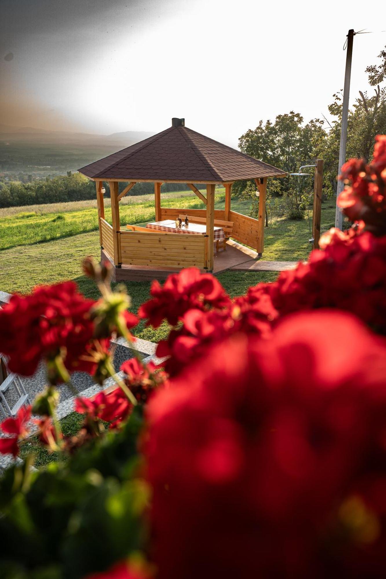 Zlatni Prag - Kraljevo Villa Buitenkant foto